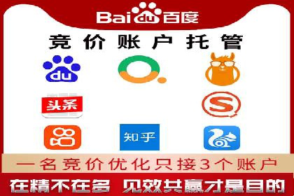 SEM托管服务案例：揭秘高效广告投放
